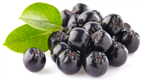 ARONIA BERRY FRUIT