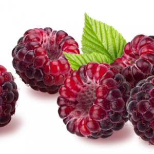 Reinplatz – Intensive Anti-wrinkle Black raspberry Essence Sheet Mask(1 pack)