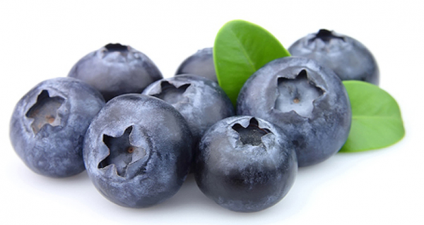 BLUEBERRY FRUIT